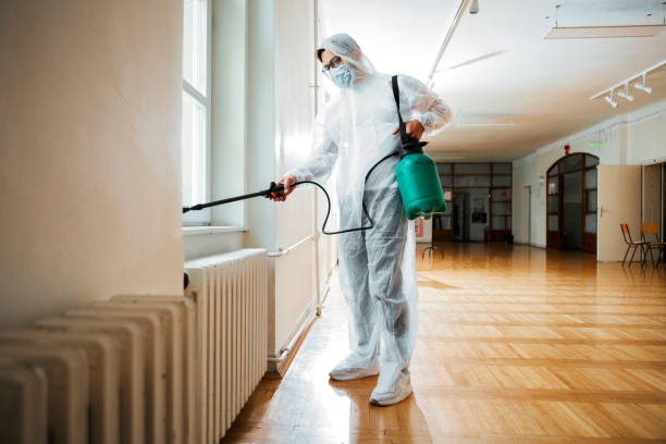 Best Pest Control for Homes  in Maysville, KY